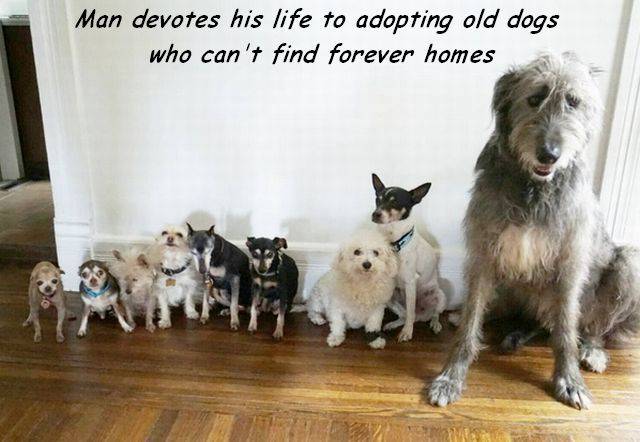 Daily Picdump [WEEKEND EDITION]