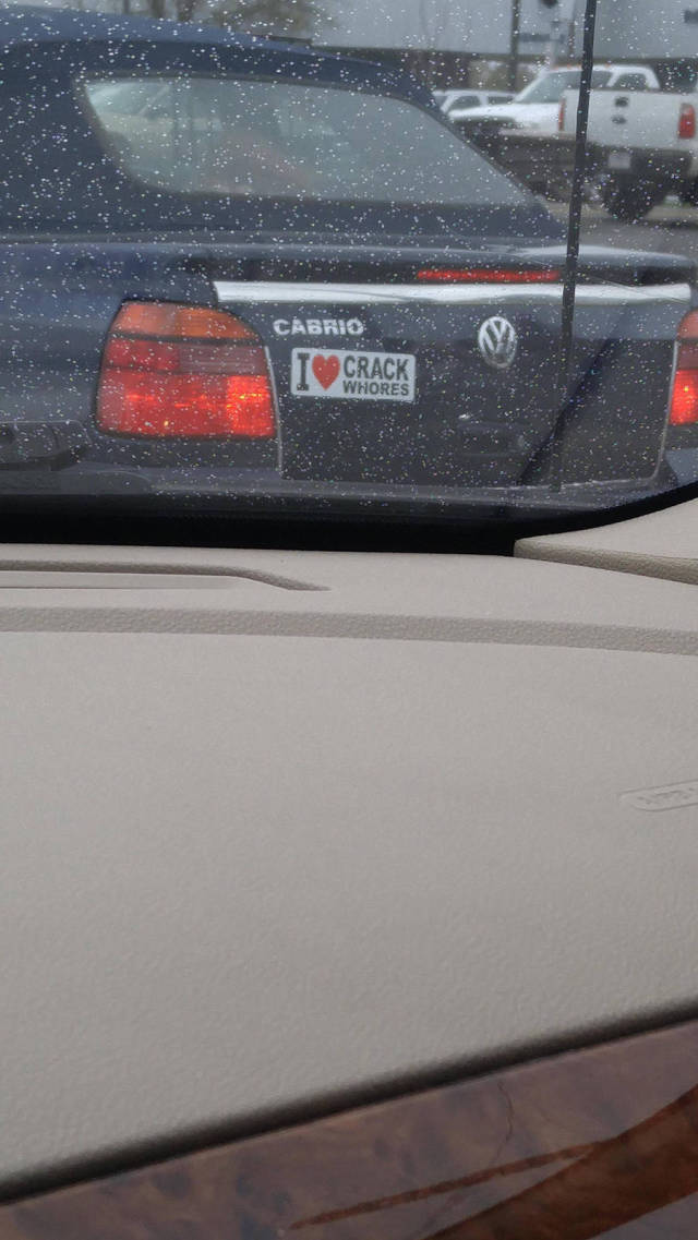 Morning Picdump