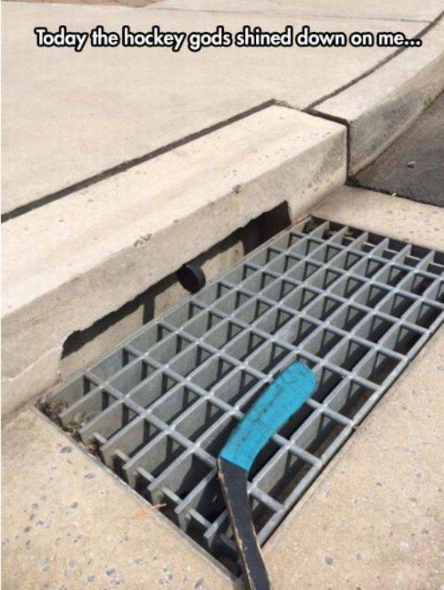 Daily Picdump [WEEKEND EDITION]