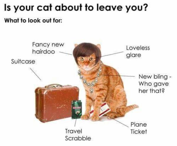Funny Picdump