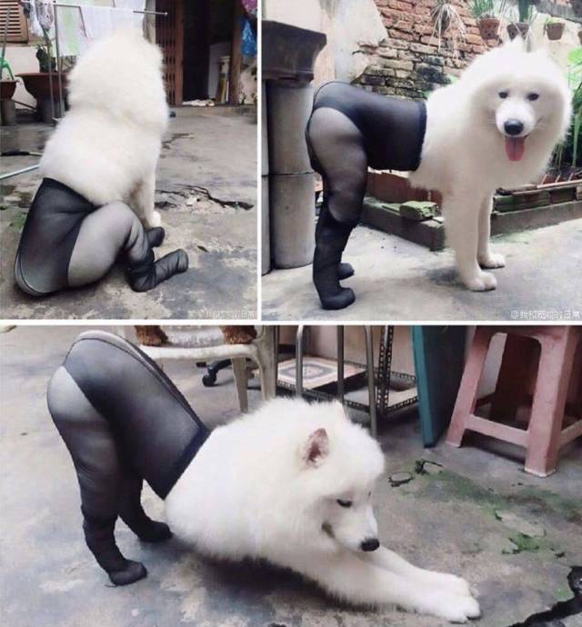 Daily Picdump [WEEKEND EDITION]