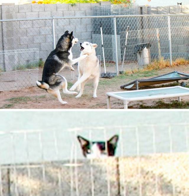 Morning Picdump