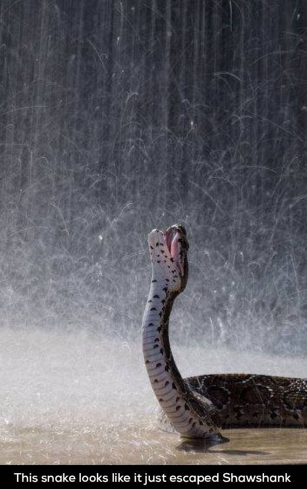 Morning Picdump