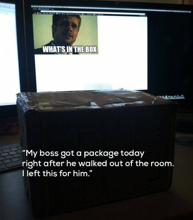 Daily Picdump