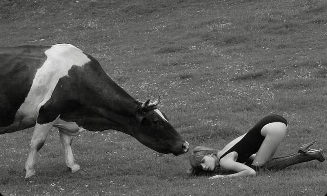 Girls Just Wanna Have Fun