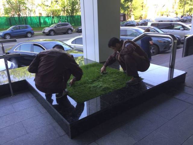 Daily Picdump [WEEKEND EDITION]