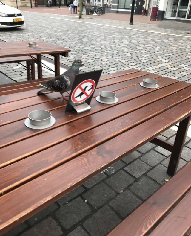 Daily Picdump [WEEKEND EDITION]