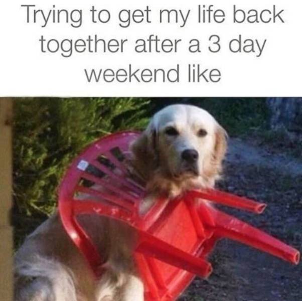 Drunk People Do So Many Stupid Things