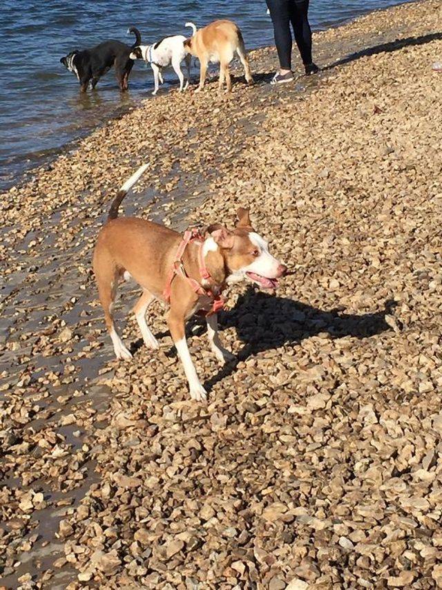 Background Always Has Something Interesting