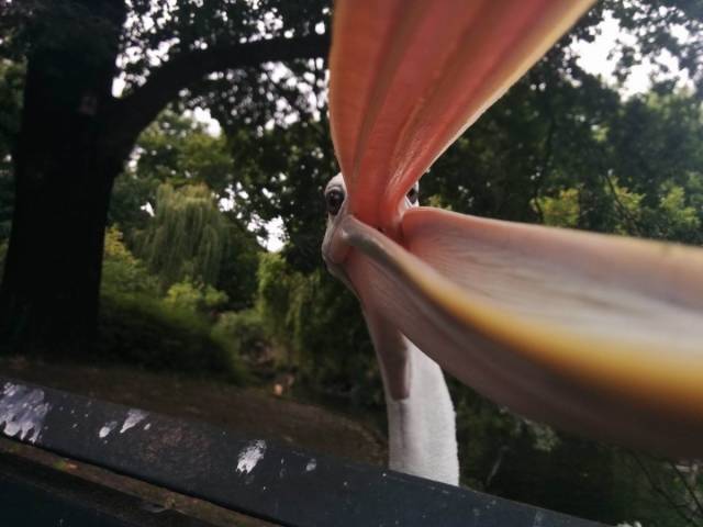 Daily Picdump [WEEKEND EDITION]