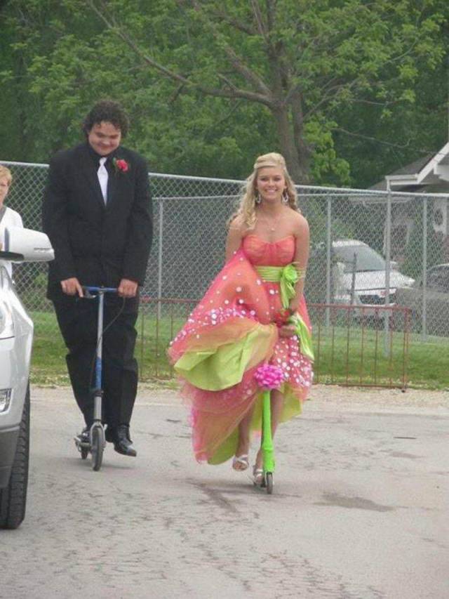 Daily Picdump