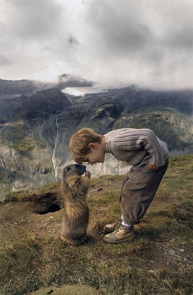 Daily Picdump