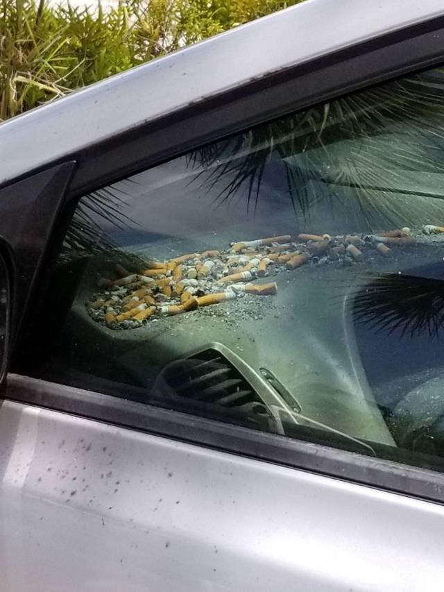 Hard-to-explain WTF Photos
