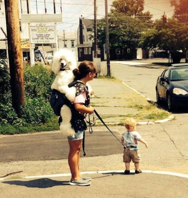 Hard-to-explain WTF Photos
