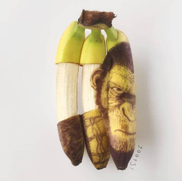 Morning Picdump