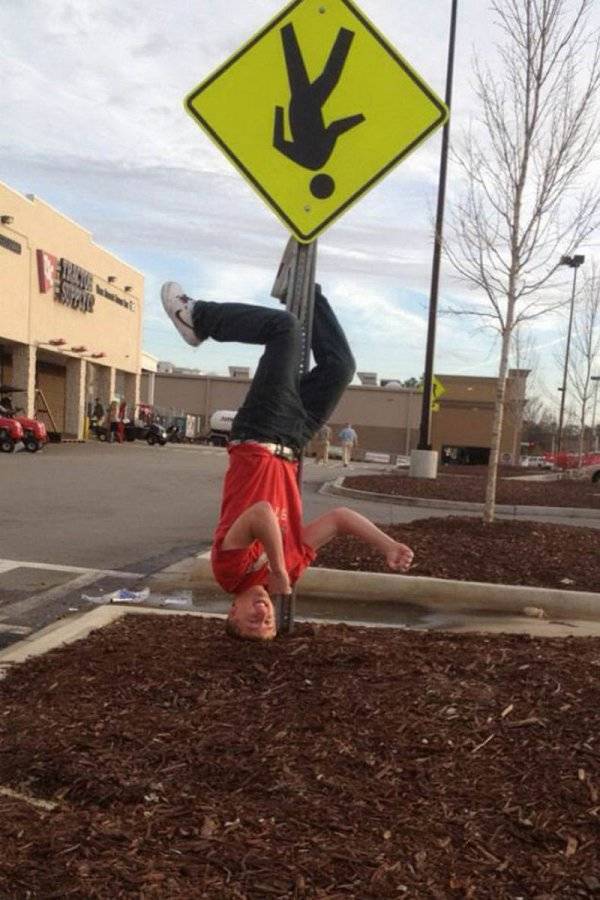 Morning Picdump