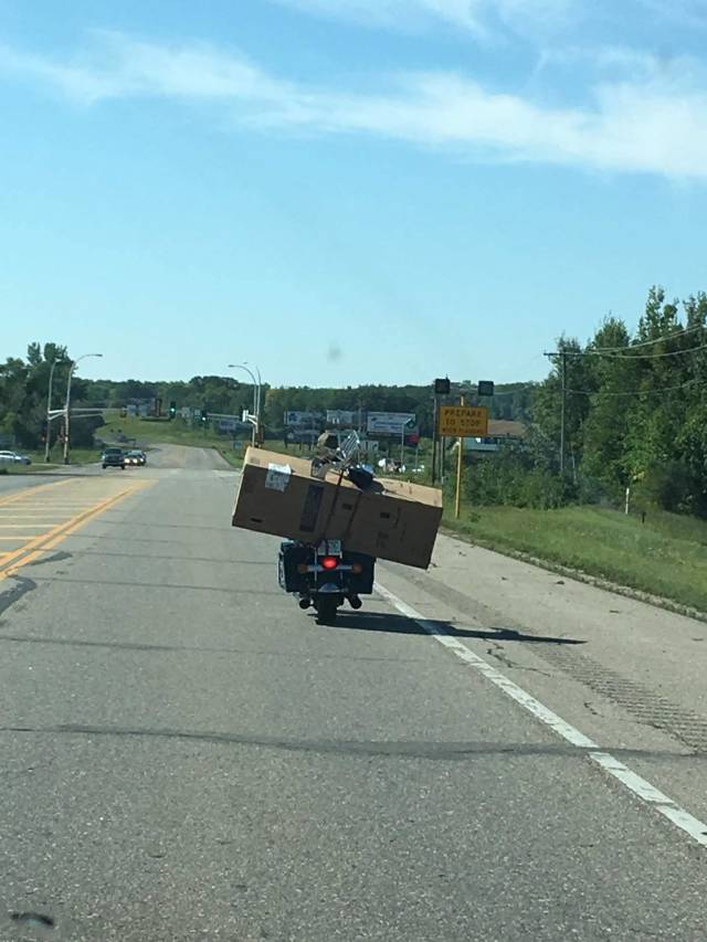 Morning Picdump