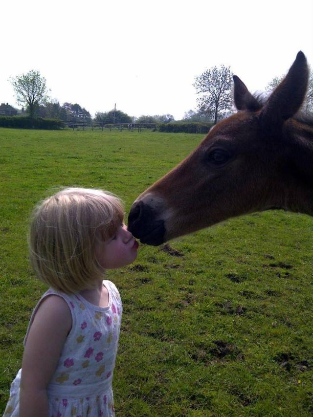 Daily Picdump [WEEKEND EDITION]