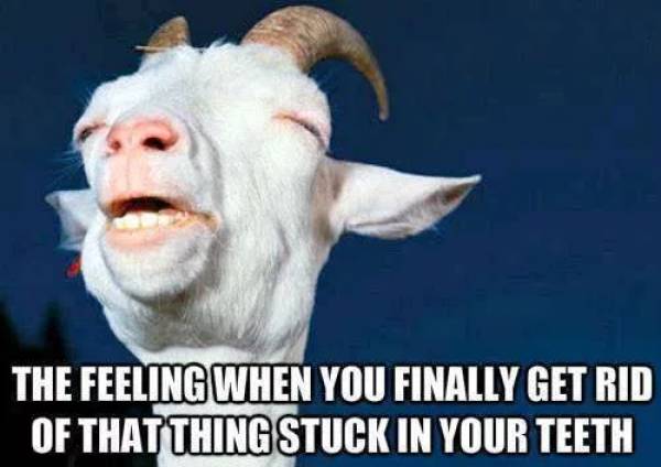 Orgasm Is Not Just A Sexual Thing…