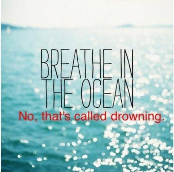 Hipster Captions Are Absolutely Asking For This!