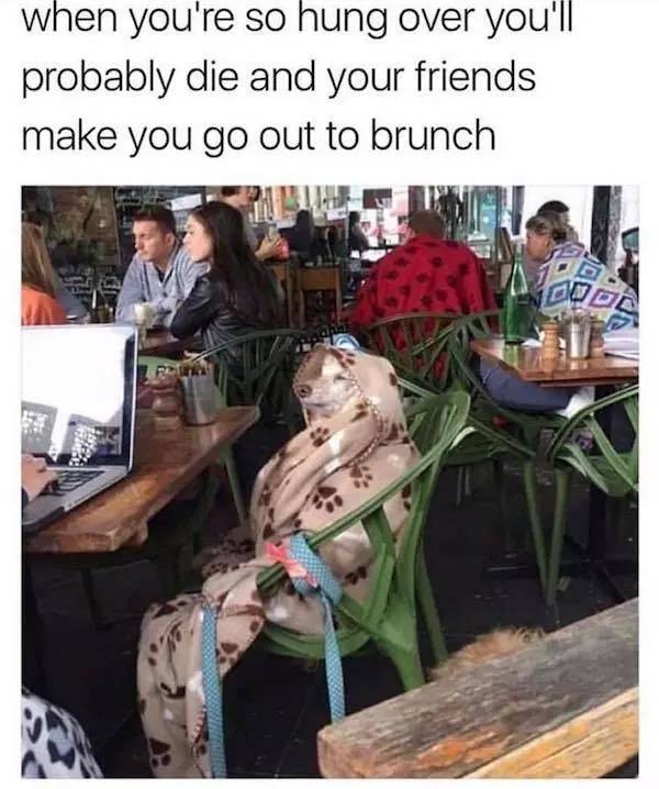 Absolutely 100% Wasted