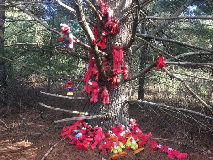 Sometimes You Just Can’t Explain…