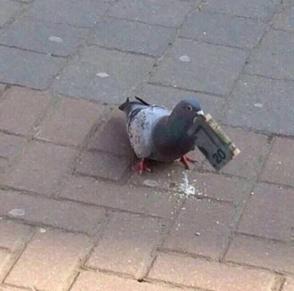 Sometimes You Just Can’t Explain…