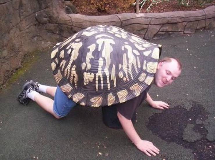 Sometimes You Just Can’t Explain…