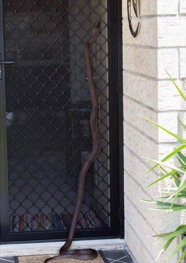 And That Will Be A NOPE