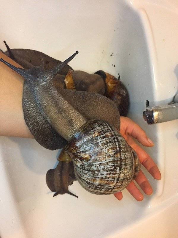 And That Will Be A NOPE