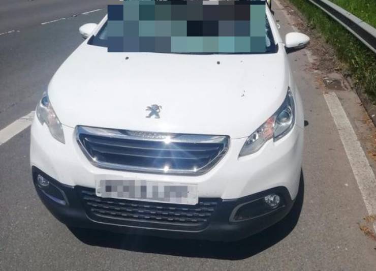 The Driver Of This Car Is The Luckiest Person In The World Right Now