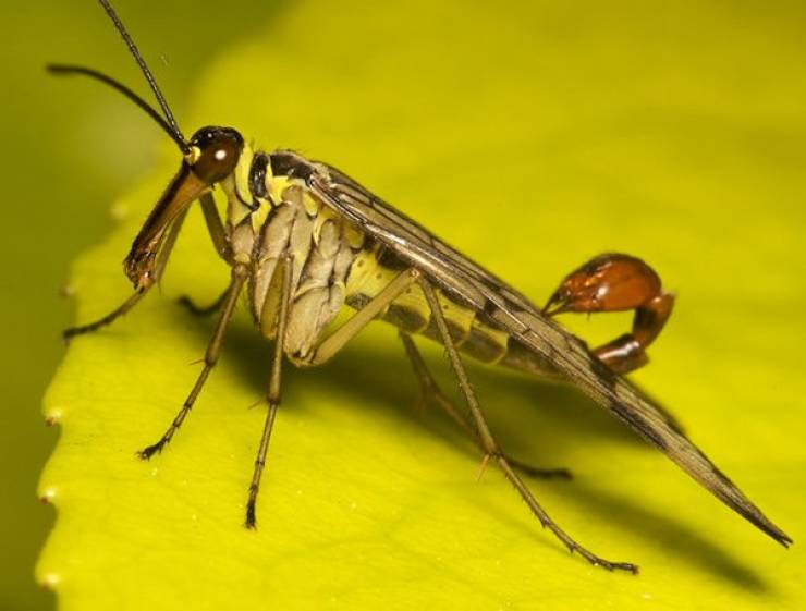 And That Will Be A Hard Pass