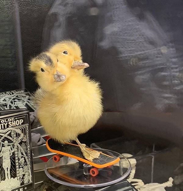 And That Will Be A Hard Pass