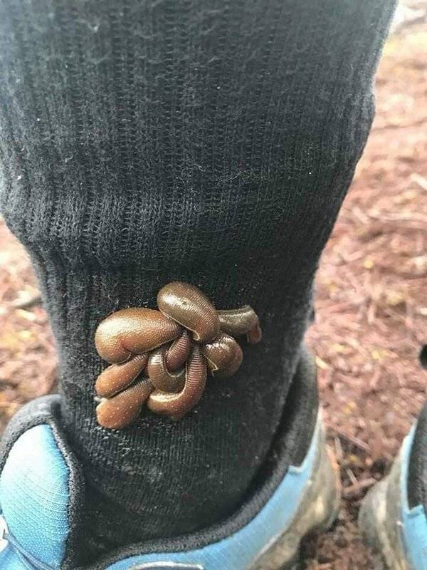 And That Will Be A Hard Pass