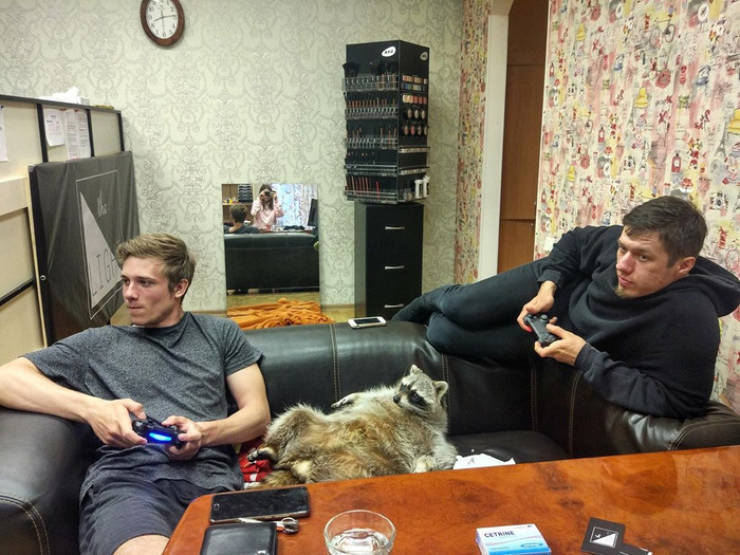 Daily Picdump [WEEKEND EDITION]