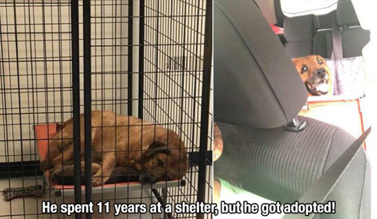 Despite Everything, Life Is Still Fantastic