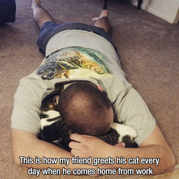 Despite Everything, Life Is Still Fantastic