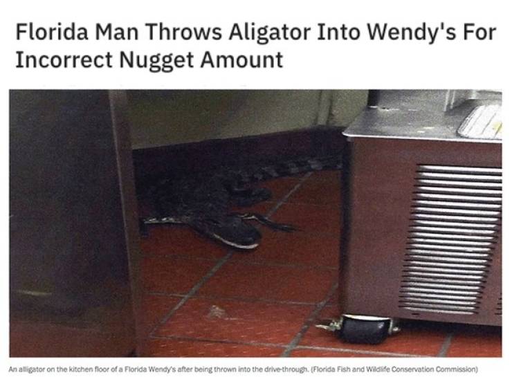 Florida Keeps The Steady Supply Of WTF Headlines