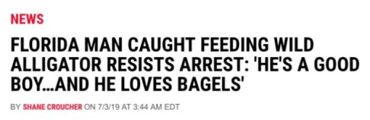 Florida Keeps The Steady Supply Of WTF Headlines