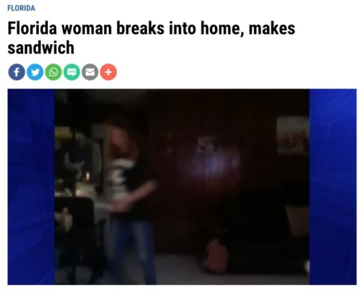 Florida Keeps The Steady Supply Of WTF Headlines