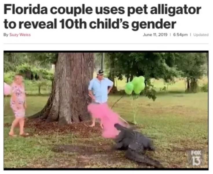 Florida Keeps The Steady Supply Of WTF Headlines