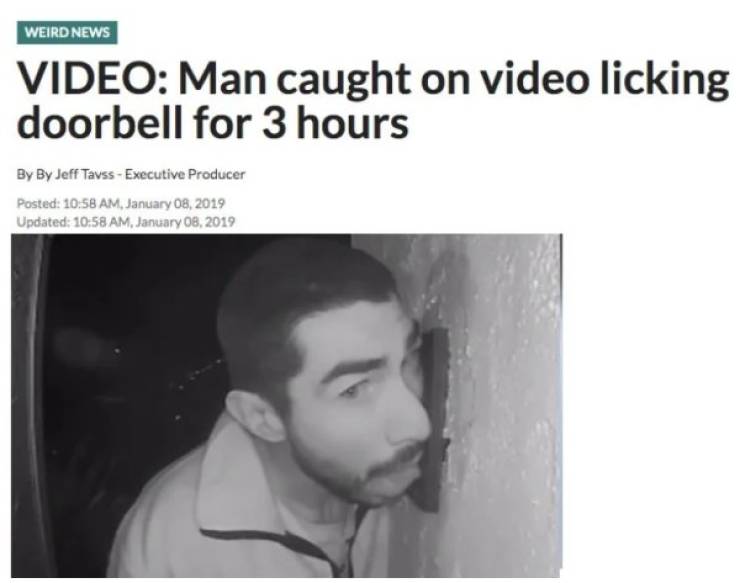 Florida Keeps The Steady Supply Of WTF Headlines