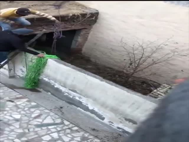 It’s Wilderness Out There