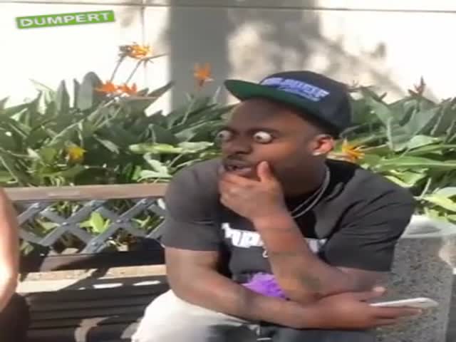 They Are Impressed, To Say The Least