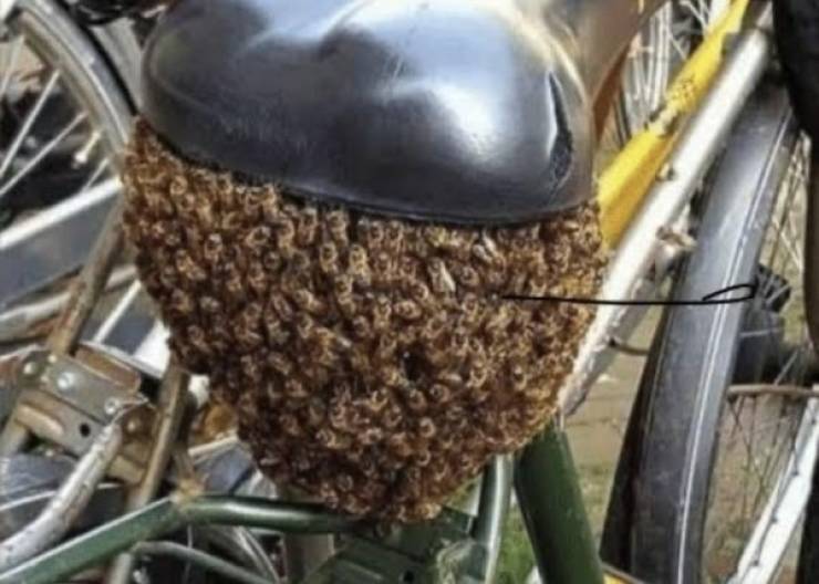 That’s A Real Big NOPE…