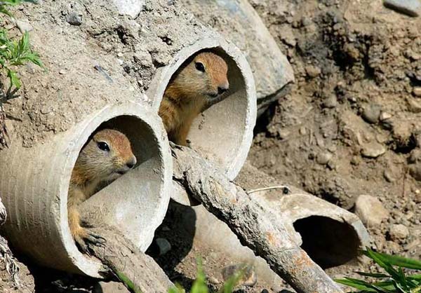 Pictures taken by surprise. Part 2 (67 pics)