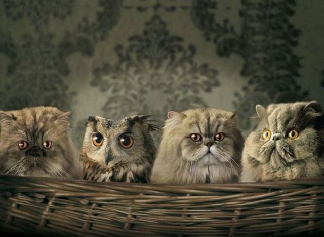 Funny picdump