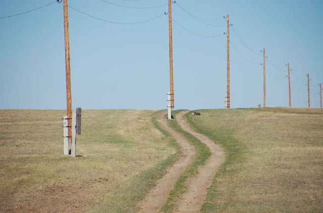 Construction stupidity (93 pics)