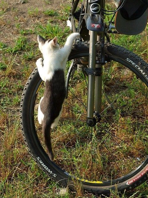 Funny picdump (97 pics)