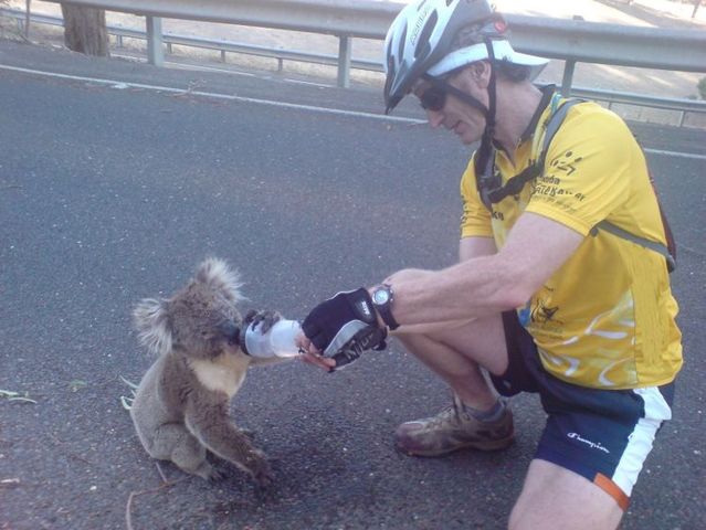 Funny picdump (123 pics)